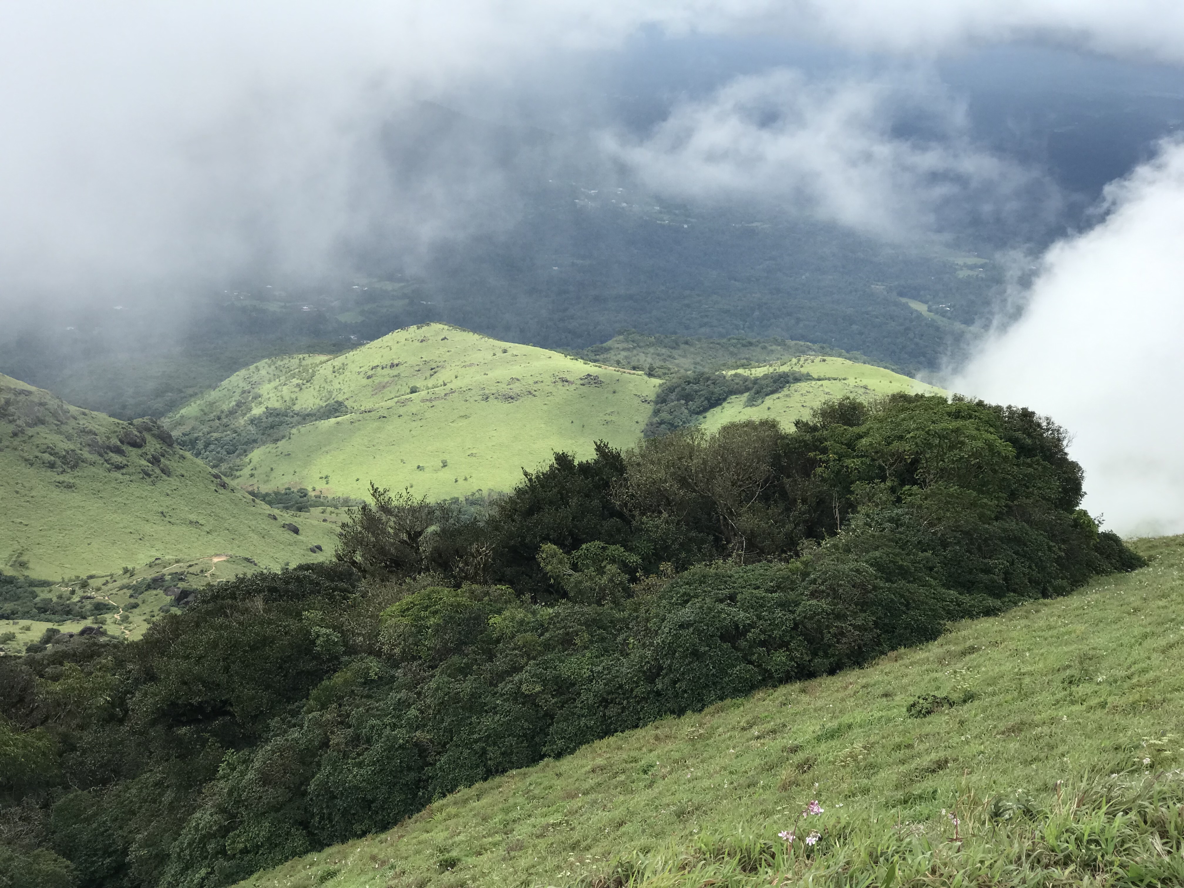 Top 10 Experiences: Unveiling the Magic of Coorg
